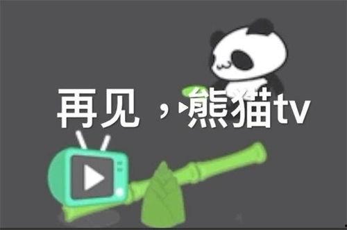 网易爆料熊猫公益视频,熊猫公益视频背后的感人故事