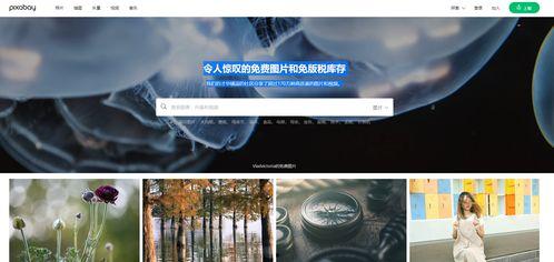 娱乐领域爆料素材哪里找,独家爆料素材搜集秘籍