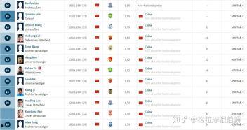爆料中国球员名单最新版