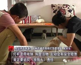 沭阳刘大姐爆料视频最新,揭秘背后惊人真相