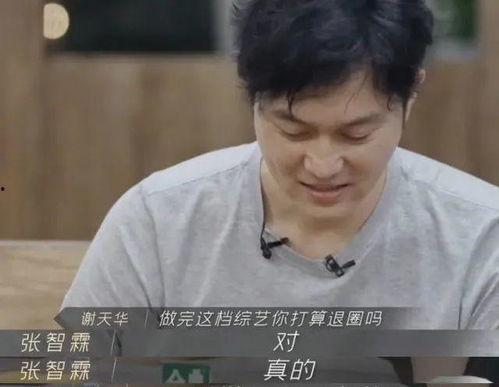 娱乐吃瓜酱张智霖